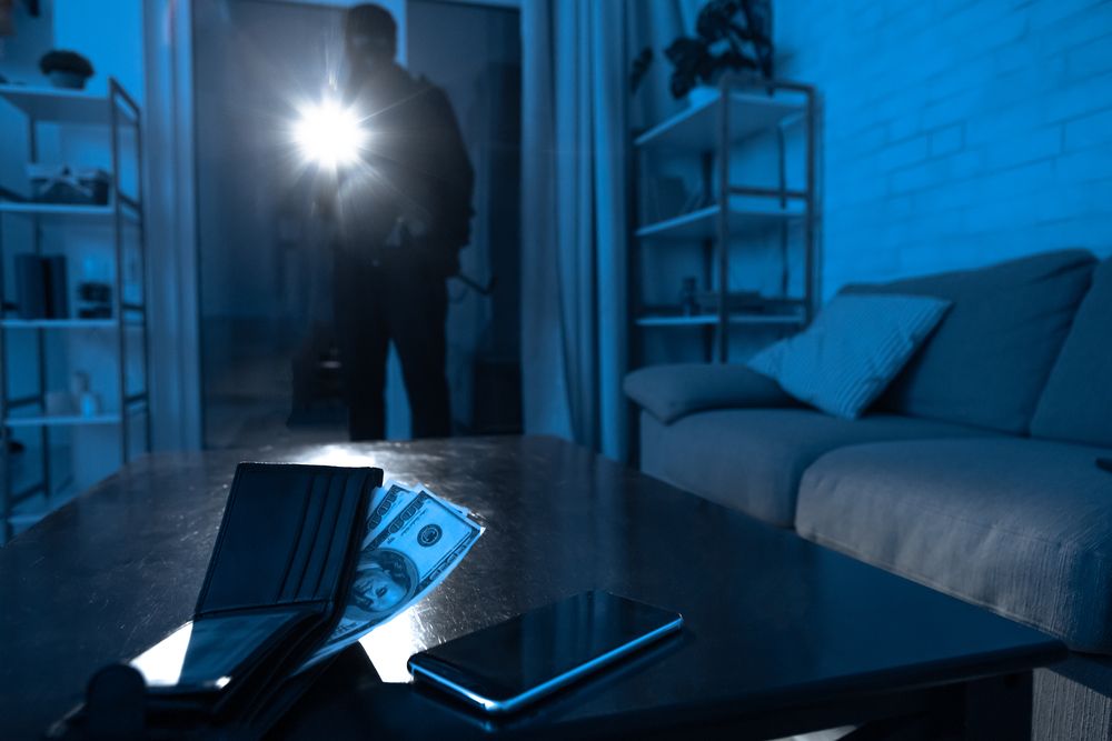 Read more about the article Arestat preventiv pentru furtul unui telefon