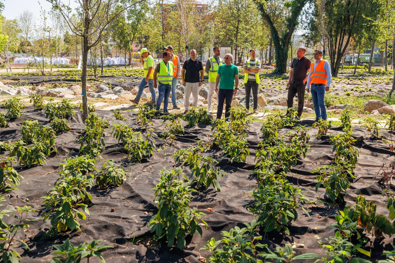 Read more about the article Boc, inspecție la noul parc