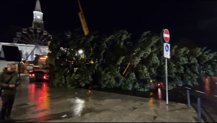 Read more about the article A sosit bradul. Moș Crăciun se pregătește să vină la Cluj