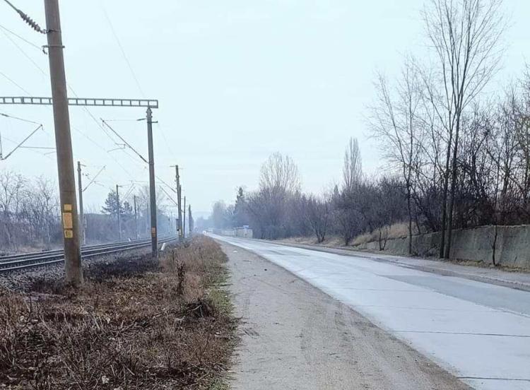 Read more about the article Cruzime fară margini de sărbători, când oamenii ar trebui sa fie mai buni: câini schingiuiți până la moarte, în Cluj-Napoca