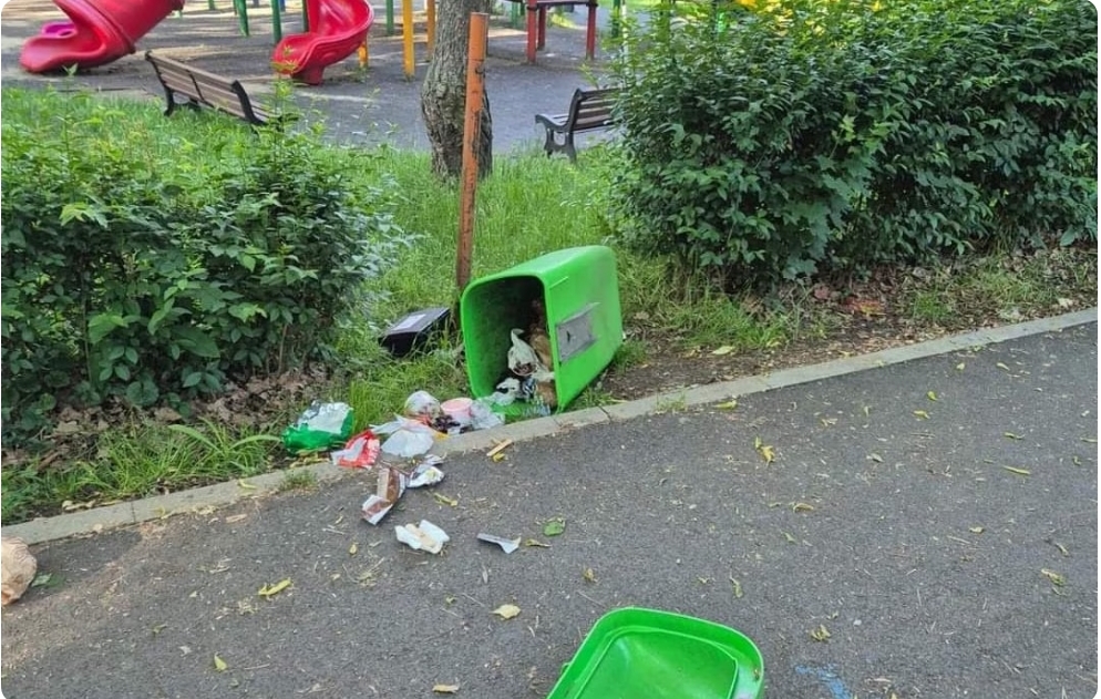 Read more about the article Vandalism în parcul Detunata