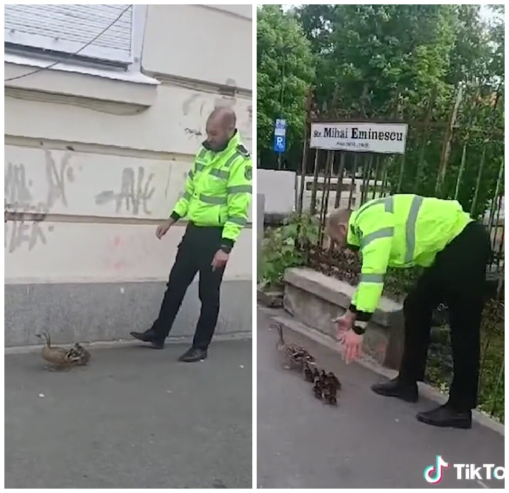 Read more about the article Poliția locală în acțiune, la Cluj-Napoca