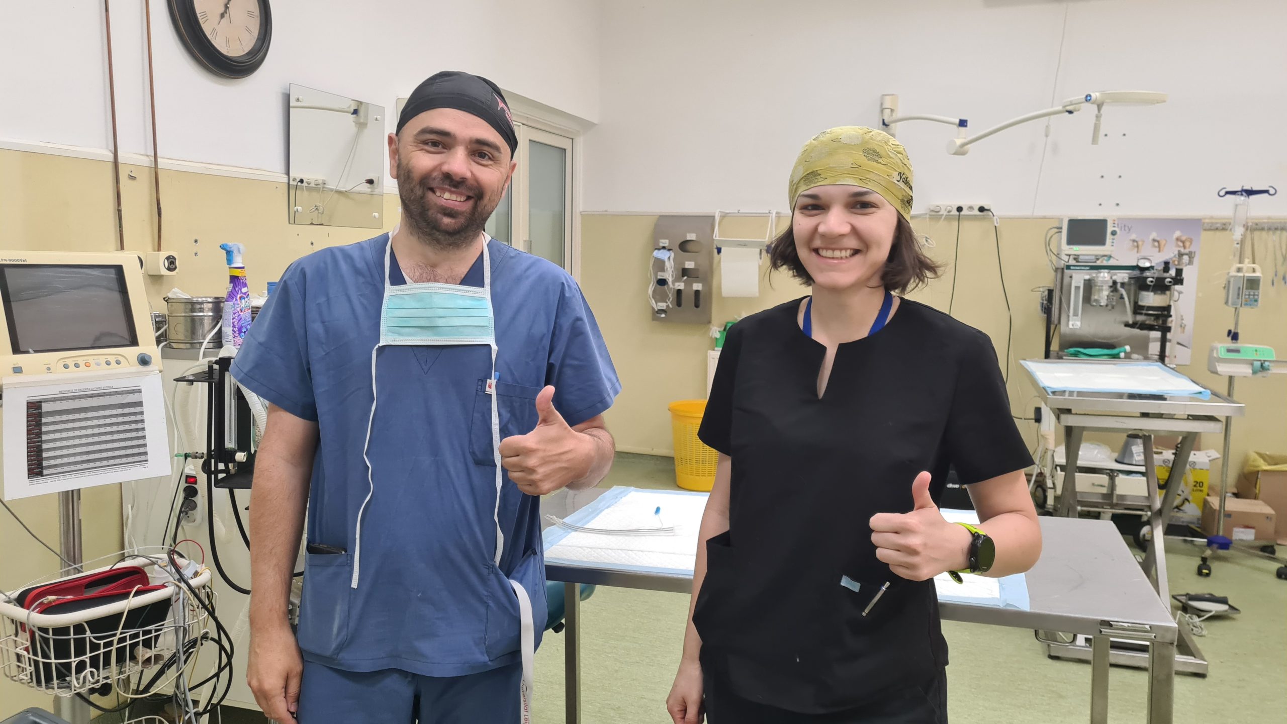Read more about the article USAMV Cluj-Napoca organizează: Maratonul sterilizărilor gratuite la câini și pisici