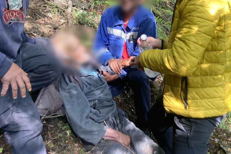 Read more about the article Dispărut de acasă, a fost găsit după 4 zile. Bărbatul de 80 de ani era în pădure