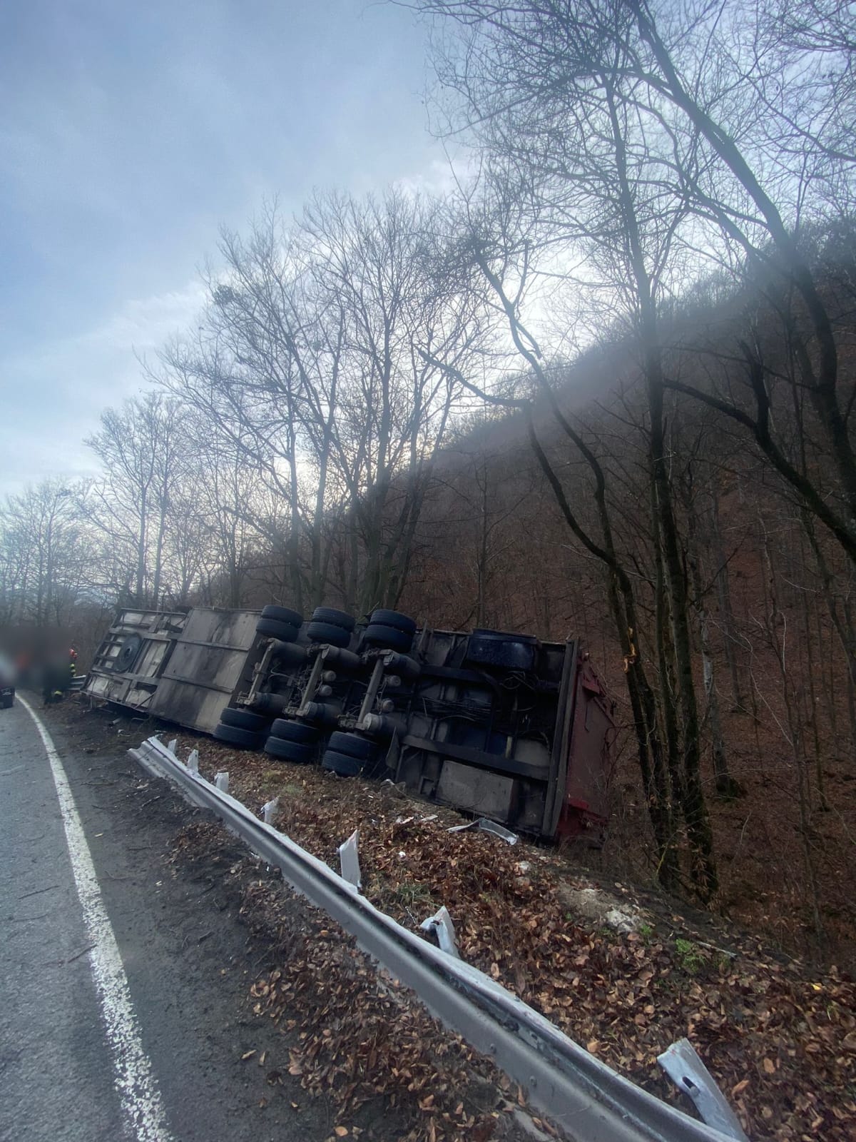 Read more about the article Accident în Negreni. Remorca unui camion care transporta porci s-a răsturnat