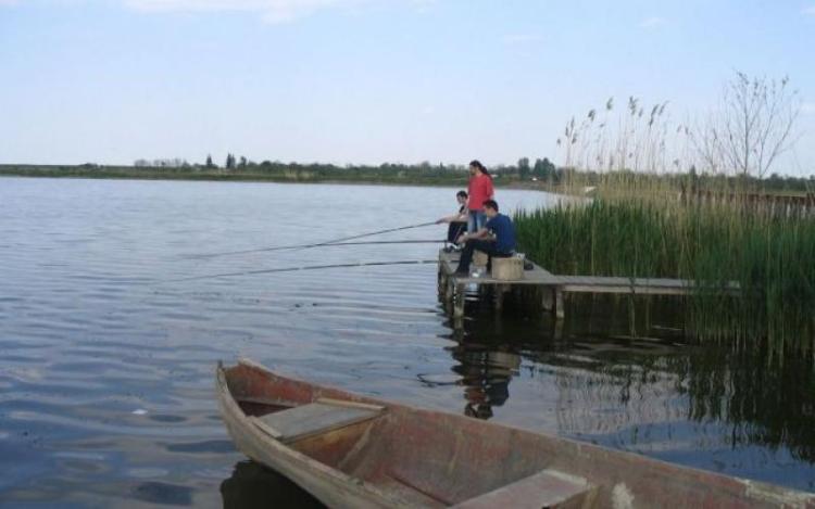Read more about the article Bătaie neașteptată pe un lac din cauza unui șofer de vehicul agricol