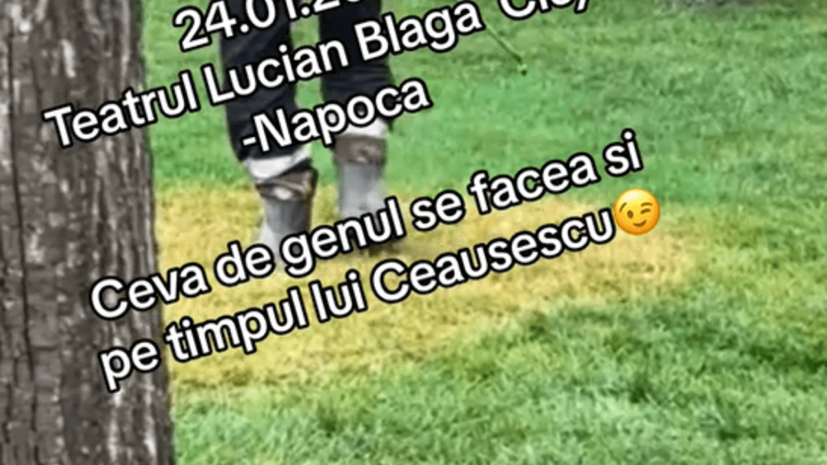 Read more about the article Ne furăm căciula. Gazonul din fața Teatrului Național a fost vopsit