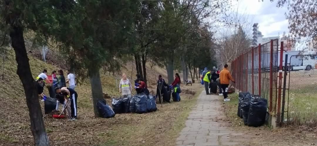 Read more about the article Activitate de igienizare a parcului Expo Transilvania. În viitor, acest parc va avea o tiroliană