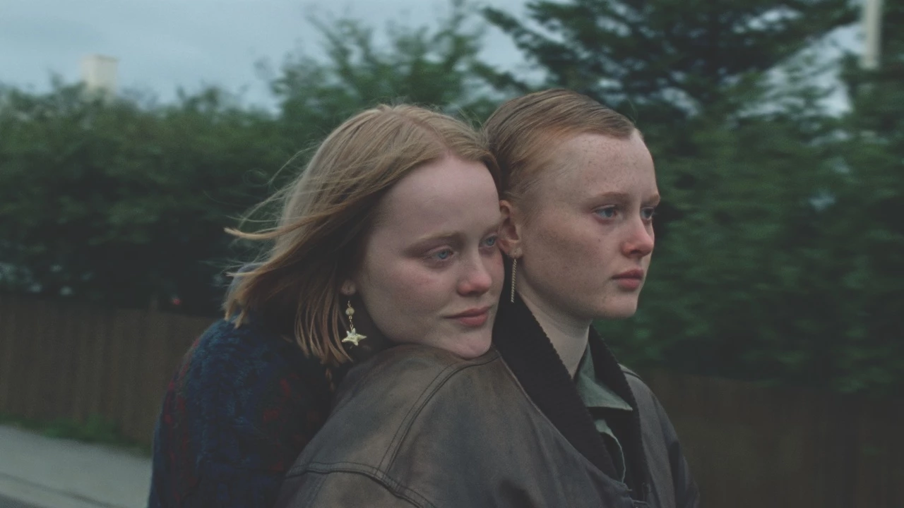 Read more about the article Cele mai premiate filme ale anului, în premieră la TIFF.24