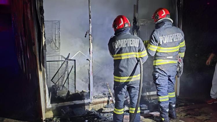 Read more about the article Incendiu la un adăpost de câini din Viișoara. Pompierii intervin cu două autospeciale