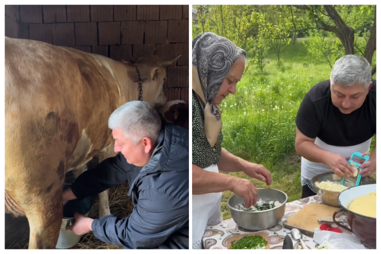 Read more about the article IPOSTAZE INEDITE. Președintele Alin Tișe, la muls vaca în Palatca! A condus tractorul și a făcut plăcinte alături de localnici. VIDEO