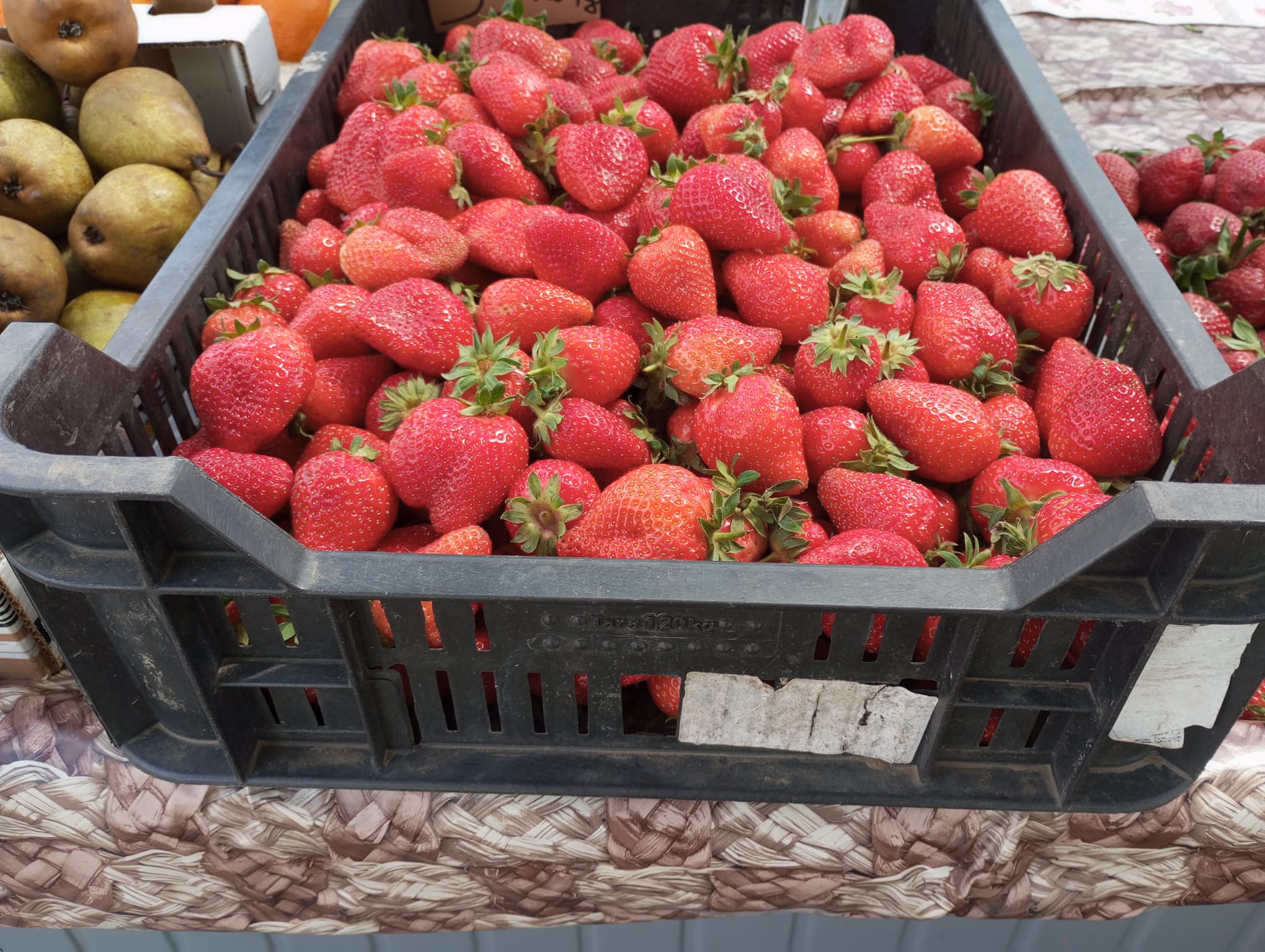 Read more about the article Au apărut primii căpșuni de Satu-Mare în piețele clujene. Cât costă un kilogram