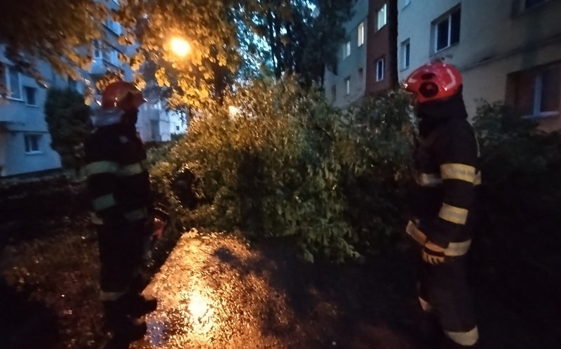 Read more about the article Apartamente și subsoluri inundate, arbori pe carosabil și stâlpi de curent căzuți după ruperea de nori