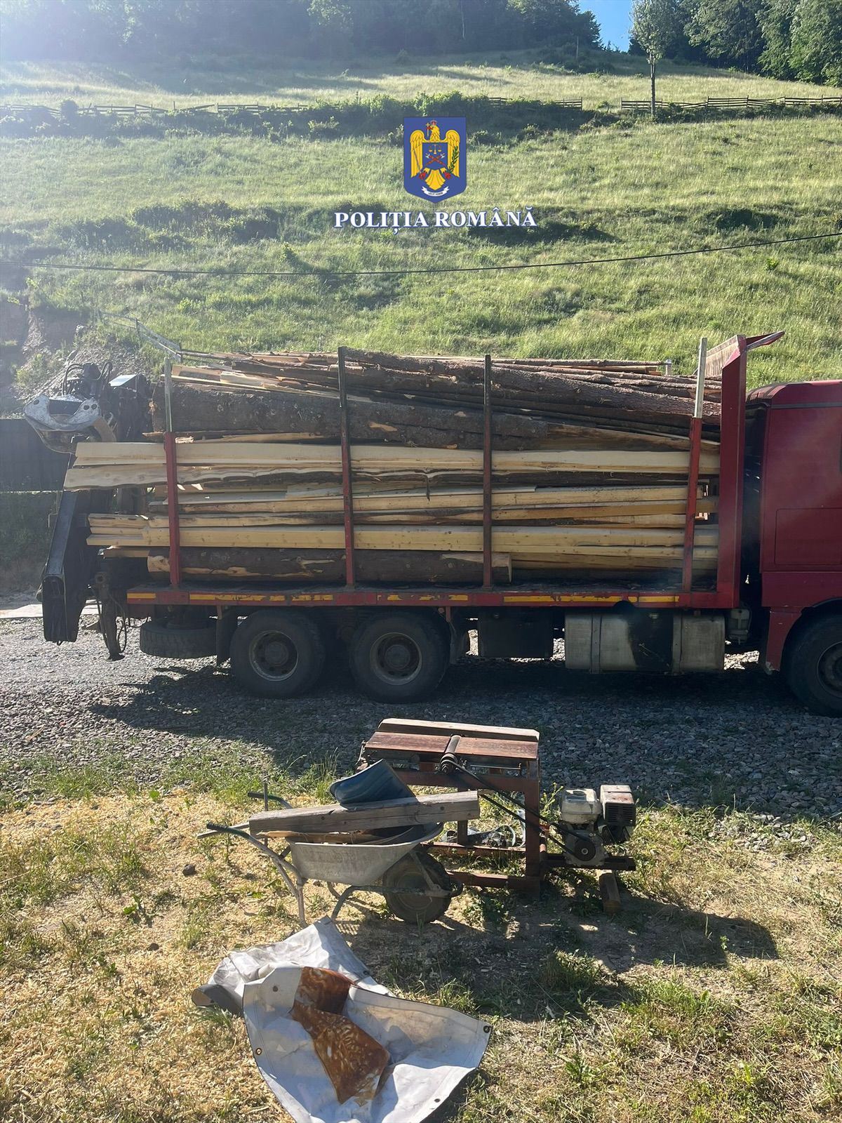 Read more about the article Percheziții la hoții de lemne din județul Cluj! Polițiștii au confiscat echipamentele folosite, arborii, dar și telefoanele