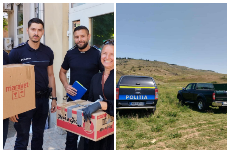 Read more about the article Asociația „Sirius Animal Rescue” reacționează dur după controlul Poliției: „Nu este un adăpost ilegal, ci un sanctuar pentru animale”