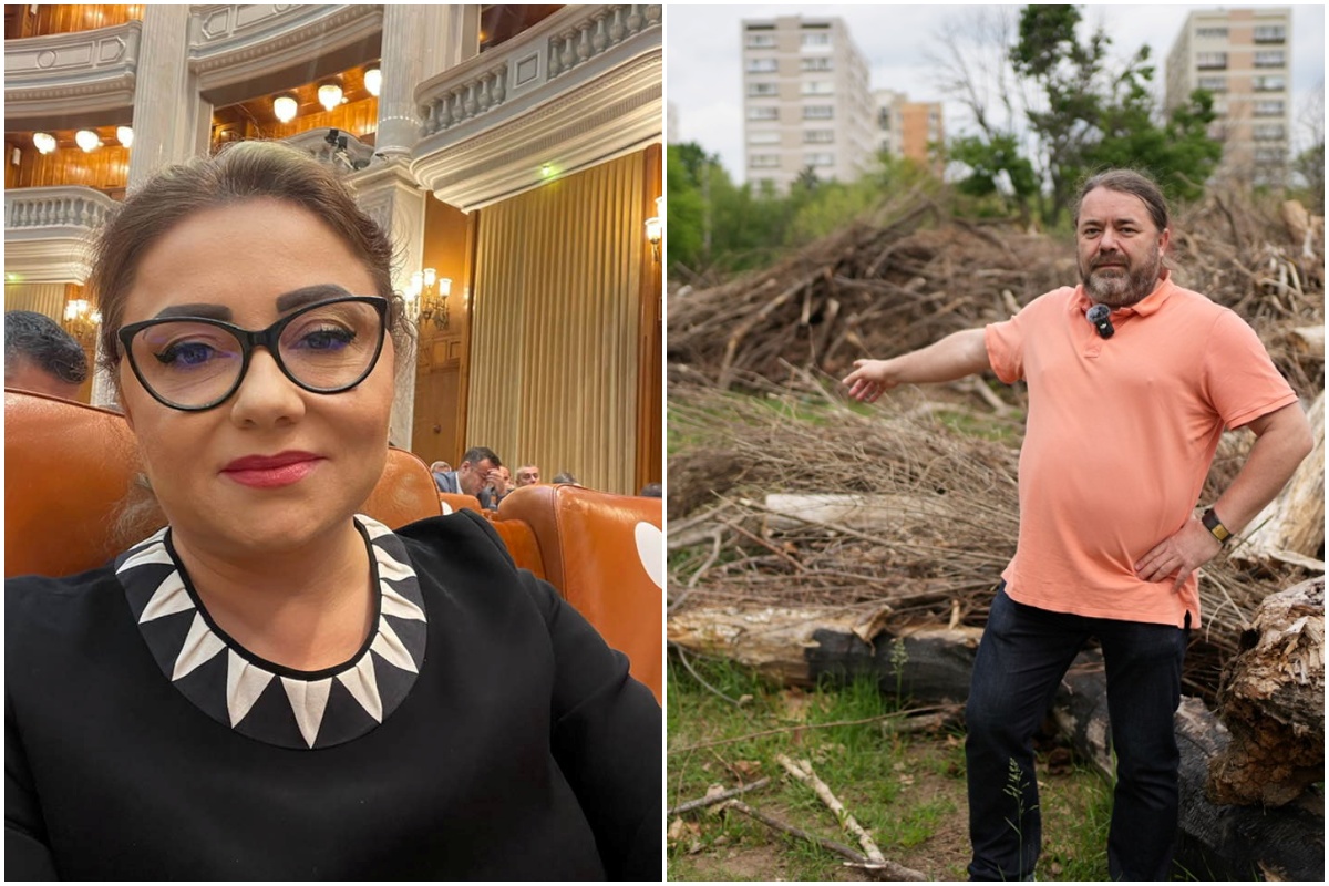 Read more about the article Jurnalistul clujean Mihai Goțiu a câștigat procesul intentat de fosta avocată a companiei Schweighofer, Cristina Trăilă
