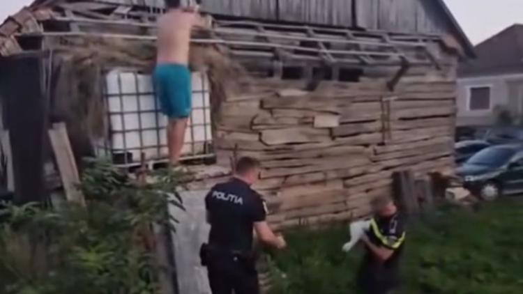 Read more about the article EMOȚIONANT. Polițiști și câțiva localnici dintr-o localitate clujeană au salvat doi pui de barză căzuți dintr-un cuib