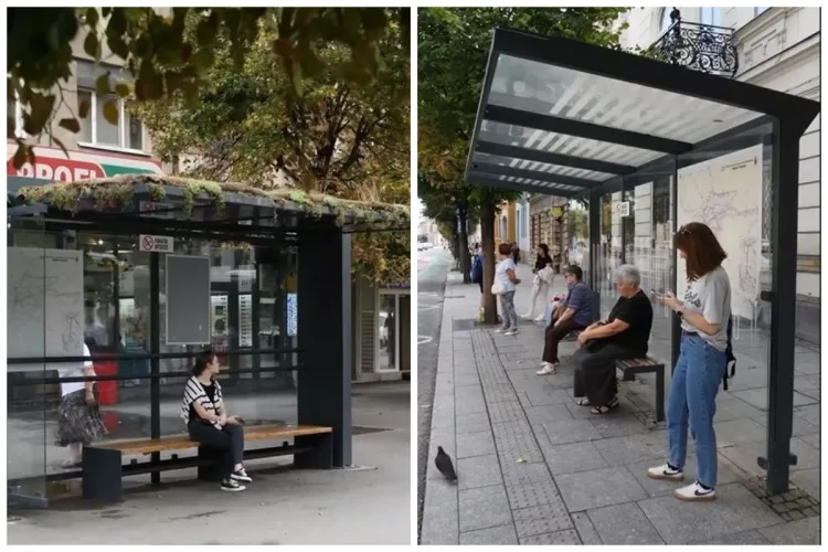 Read more about the article Copertine pentru toate stațiile de transport în comun din Cluj