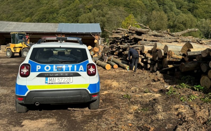 Read more about the article Lemne fără acte, sancțiuni și confiscări la o firmă din Cluj