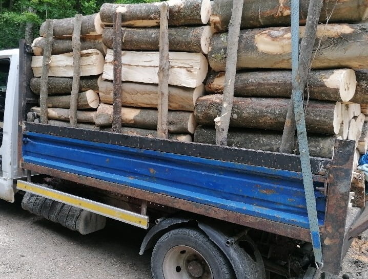 Read more about the article Prins de polițiști cu 9 metri cubi de lemne fără acte. Materialul și autoutilitara au fost confiscate