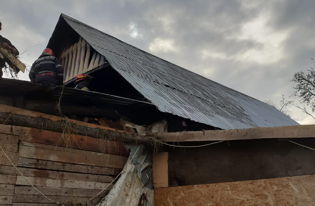 Read more about the article Incendiu puternic la o gospodărie din Cluj. 21 de porci au fost salvați. Au ars 2 tone de fân din interior