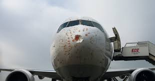 Read more about the article INCIDENT. O aeronavă care trebuia să aterizeze la Cluj a intrat în coliziune cu un stol de păsări