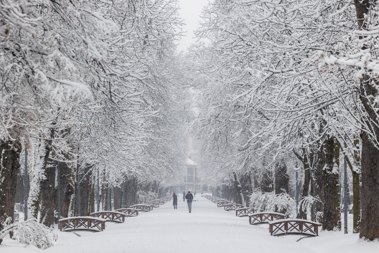Read more about the article Vremea se încălzește la Cluj după mai multe zile de ger. Care va fi temperatura maximă