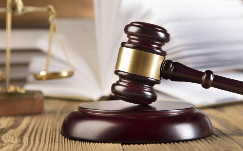 Read more about the article Verdict final în dosarul care a vizat și numele patronului CFR Cluj: statul recâștigă păduri de 300 de milioane de euro