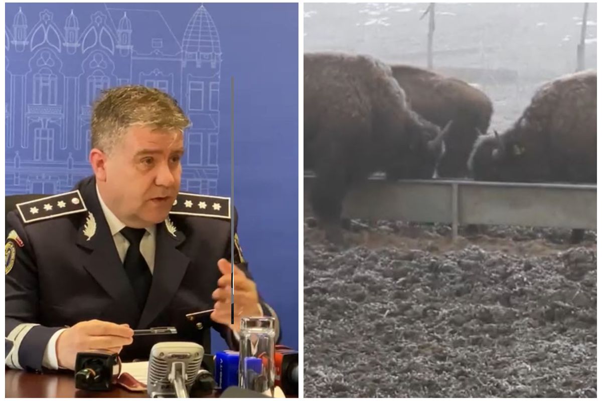 Read more about the article Cine sunt foștii proprietari ai fermei groazei din Recea Cristur, unde au murit sute de animale sălbatice