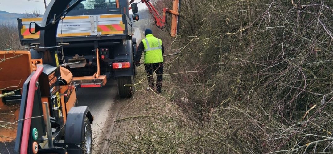 Read more about the article „Curățenie de primăvară” pe drumurile din Cluj: au început lucrările de întreținere și toaletare pentru creșterea siguranței rutiere