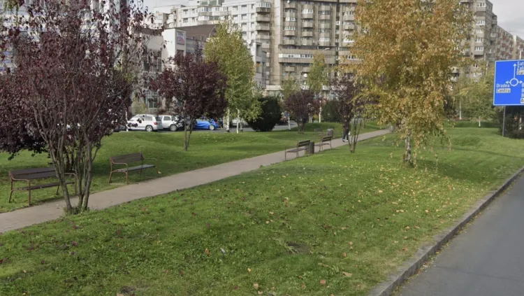 Read more about the article Parcul din fața Bibliotecii “Goga” stârnește îngrijorări: locatarii reclamă câini fără stăpân și persoane suspecte și cer camere de supraveghere