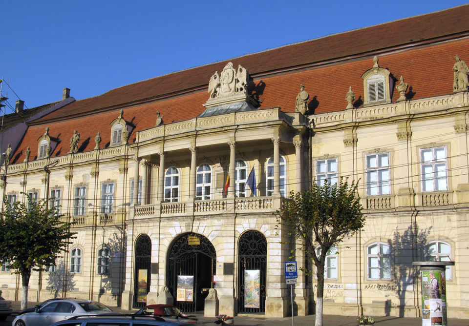 Read more about the article O colecție pentru posteritate, expusă la Muzeul de Artă din Cluj-Napoca