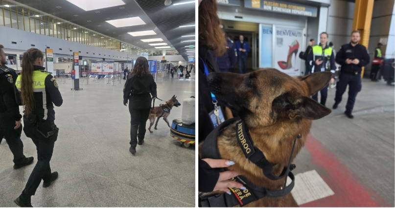 Read more about the article Descindere masivă a forțelor de ordine, alături de echipaje canine, pe Aeroportul Internațional „Avram Iancu”. Ce au căutat