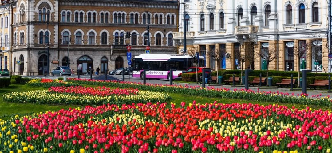 Read more about the article CTP suplimentează mijloacele de transport public de 1 Mai în Cluj și în Zona Metropolitană + Autobuz spre Cheile Turzii