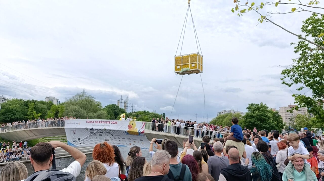 Read more about the article Explozie de galben pe Someș! Mii de clujeni și 25.000 de rățuște. Banii strânși se vor duce către o cauză nobilă