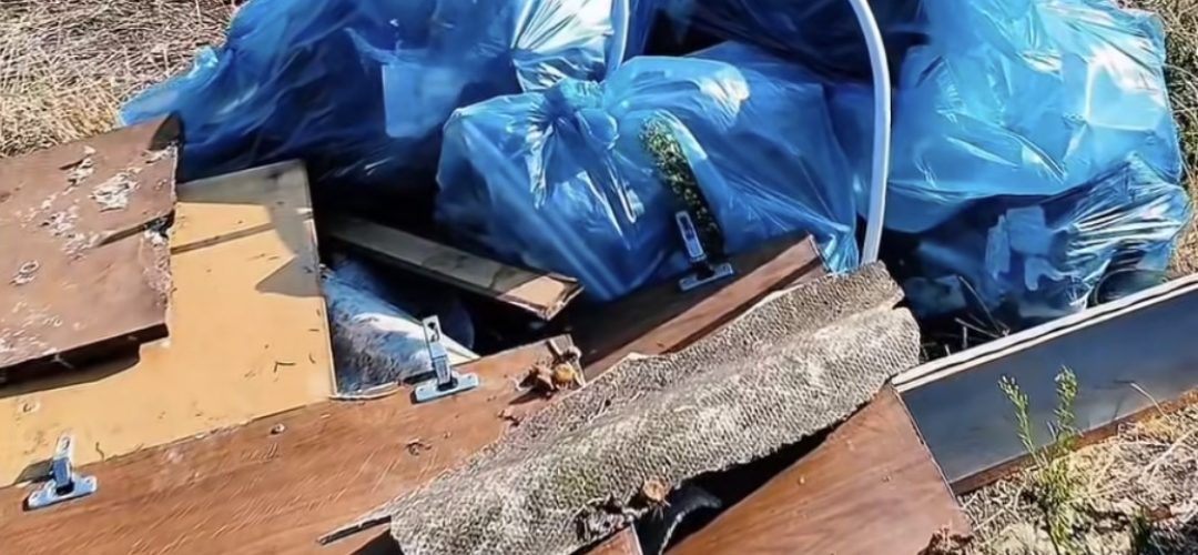 Read more about the article Dan Tarcea, mesaj tranșant pentru cei care aruncă gunoaie în Cluj: „Îi vom identifica și amenda!”. Acțiune de salubrizare de-a lungul căii ferate