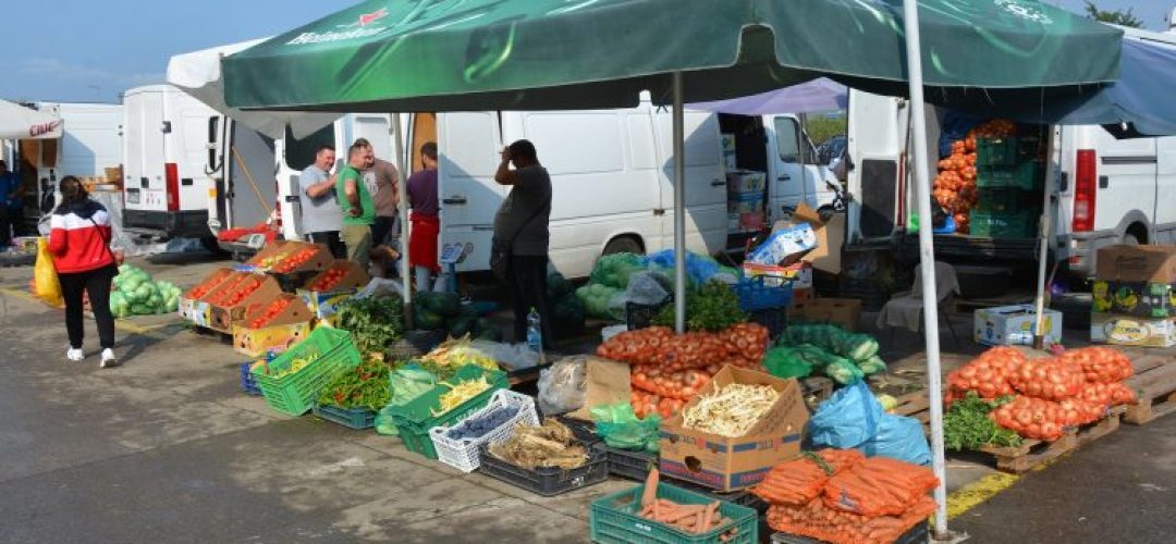 Read more about the article Consiliul Județean Cluj digitalizează procedurile pentru producători și comercianți