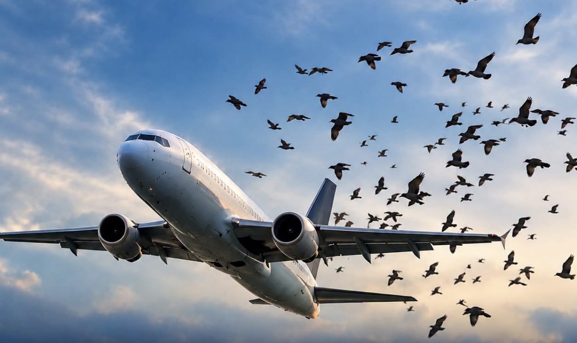 Read more about the article Avion cu 170 de pasageri, plecat din Cluj spre Antalya, redirecționat de urgență la Otopeni