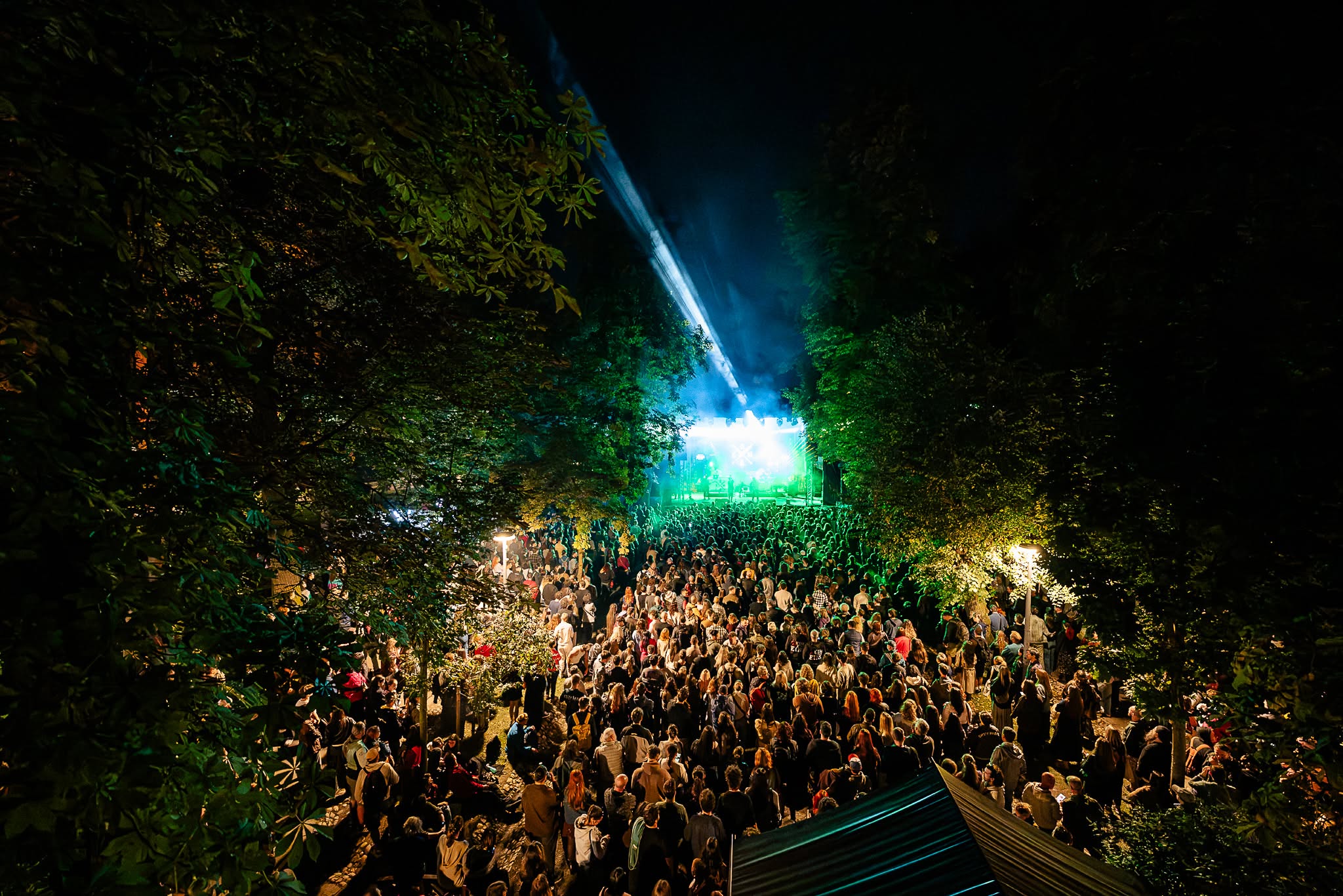 Read more about the article Jazz in the Park Competition 2026: titlul merge în Marea Britanie!  Creature. este trupa câștigătoare a marelui premiu