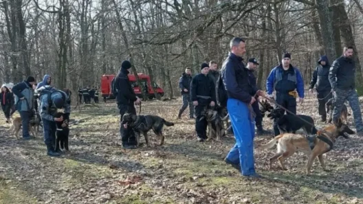 Dispariții persoane Cluj: 359 de sesizări în nouă luni