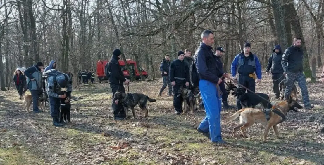 Dispariții persoane Cluj: 359 de sesizări în nouă luni