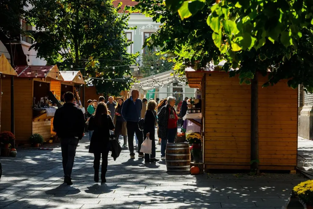 Read more about the article Ce evenimente au loc astăzi la Cluj: târguri, piese de teatru, concerte și mai multe expoziții