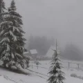 prima ninsoare Cluj - Prima ninsoare a sezonului în județul Cluj, la Vlădeasa