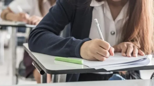 teze naționale gimnaziu - Teze naționale din clasa a V-a: ideea lui Mircea Miclea