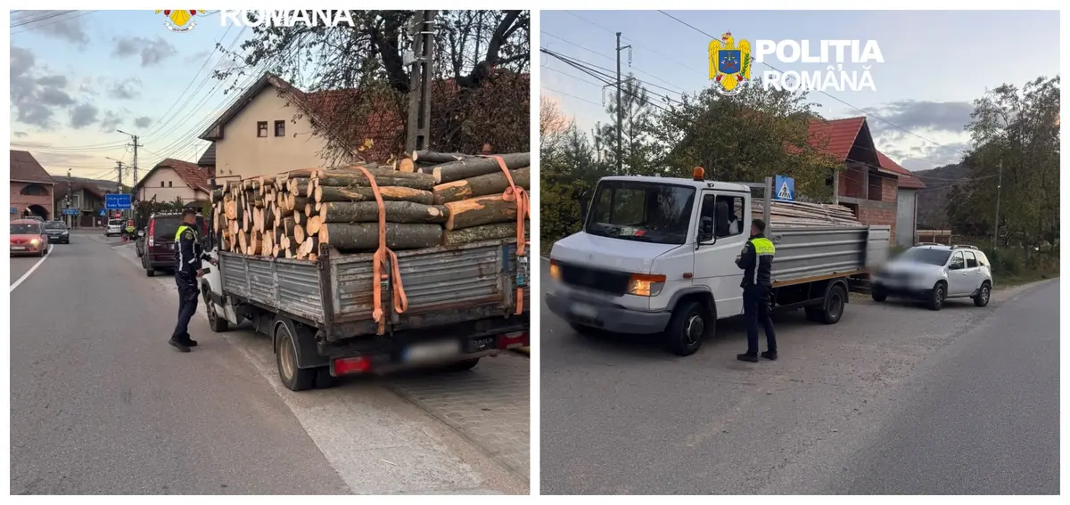 Transport ilegal de lemne: cinci sancțiuni în județul Cluj
