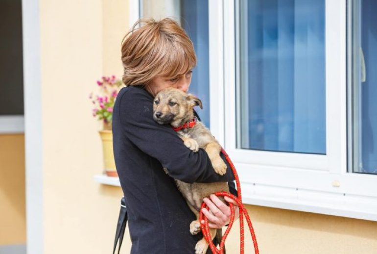 Adoptii-caini-fara-stapan-Cluj-aprilie-2024-12-660x439