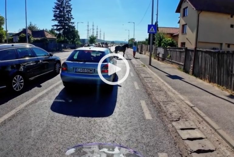 Carutas pe trecerea de pietoni