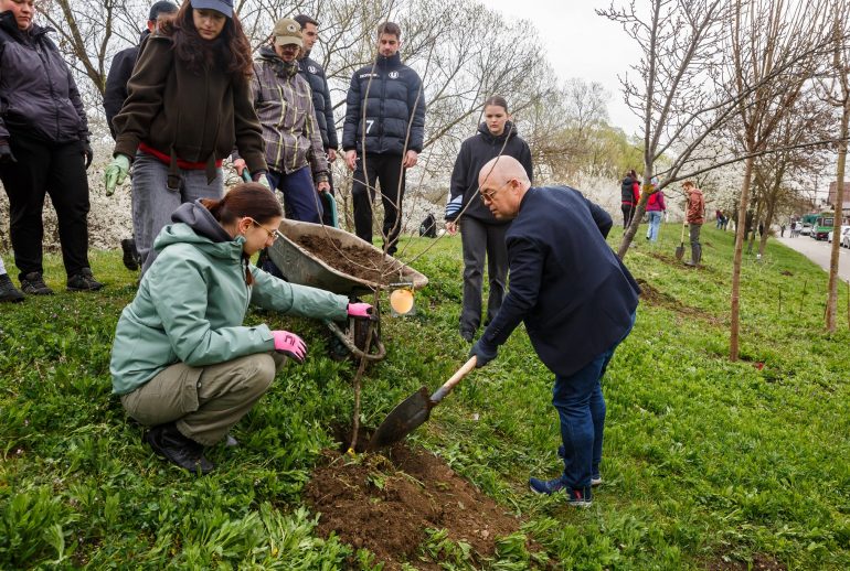 Emil Boc planteaza copaci