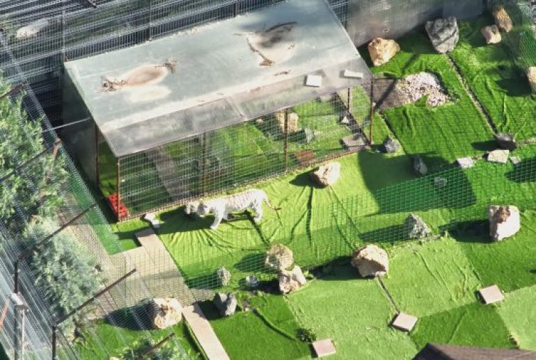Gradina zoologica Gilau