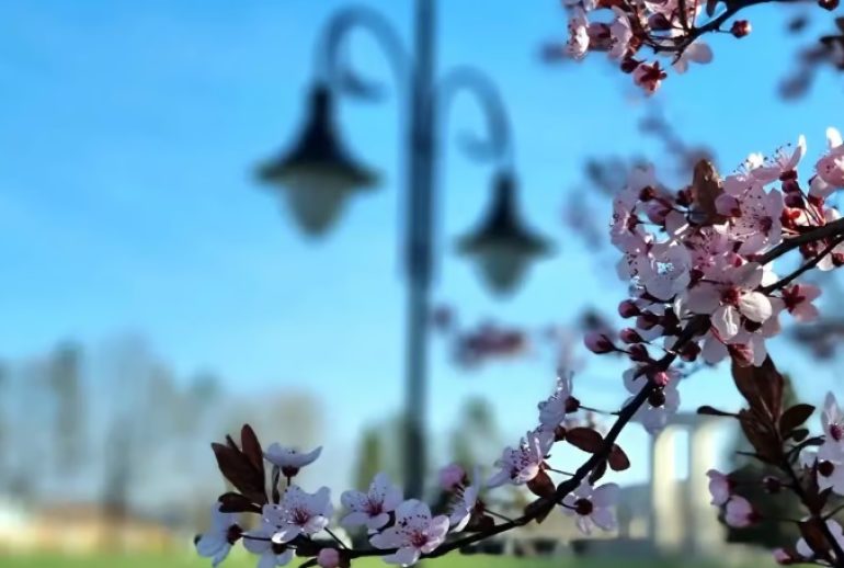 Vreme primavara Cluj